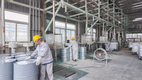 年產34800噸日用百貨改擴建項目9月試生產，助推濱海產業升級